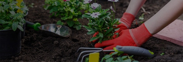 Home Retail - Retail garden banner - Airsoft Gear Shop