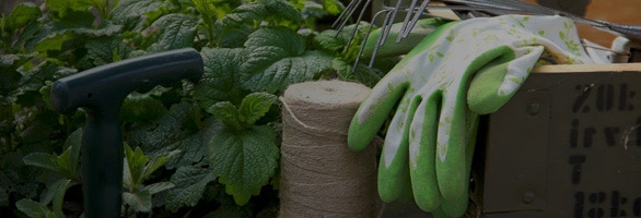 Home Retail - Retail garden banner - Airsoft Gear Shop