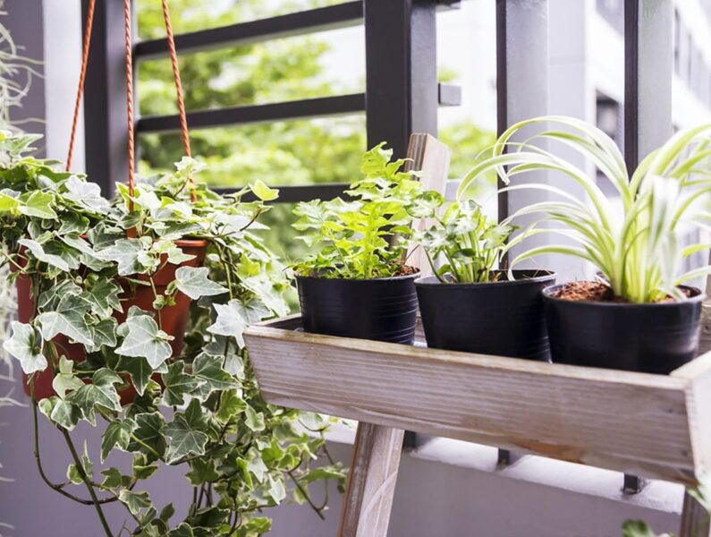 Home Retail - Retail img map - Airsoft Gear Shop